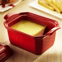 Foie Gras Terrine mit Presse