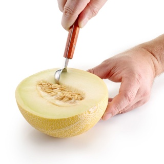 Doppelseitiger Kugelausstecher Woody