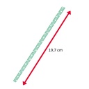 50 Papier-Trinkhalme 19,cm grün/weiß