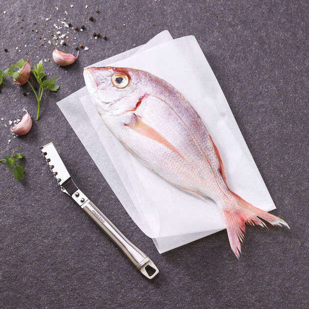 Fischentschupper 22 cm