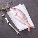 Fischentschupper 22 cm