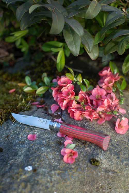 Klappmesser Luxus N°08 Laminierte Birke Rot