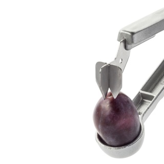 12 Pflaumenentsteiner Steinex 