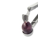 12 Pflaumenentsteiner Steinex 