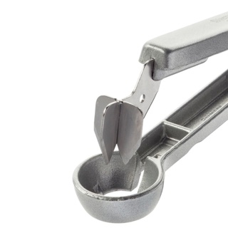 12 Pflaumenentsteiner Steinex 