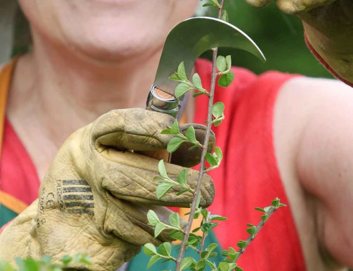 Gärtnermesser N°10