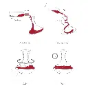 Karaffe mit Wirbelbewegung, Faltschachtel