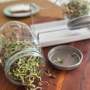 Sprossenglas-Set, 2 Gläser (950 ml)