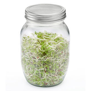 Sprossenglas-Set, 2 Gläser (950 ml)