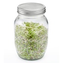 Sprossenglas-Set, 2 Gläser (950 ml)