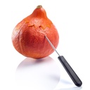 Kürbis Schnitz-Set »Halloween« 4 tlg., mit Schnitzvorlagen