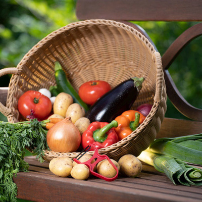 Display Gemüseschäler 24-tlg