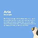 Isolierflasche Pinguin