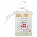 SET Glücks-Magnet, 30 Stk., 5-fach sort, inkl. Display