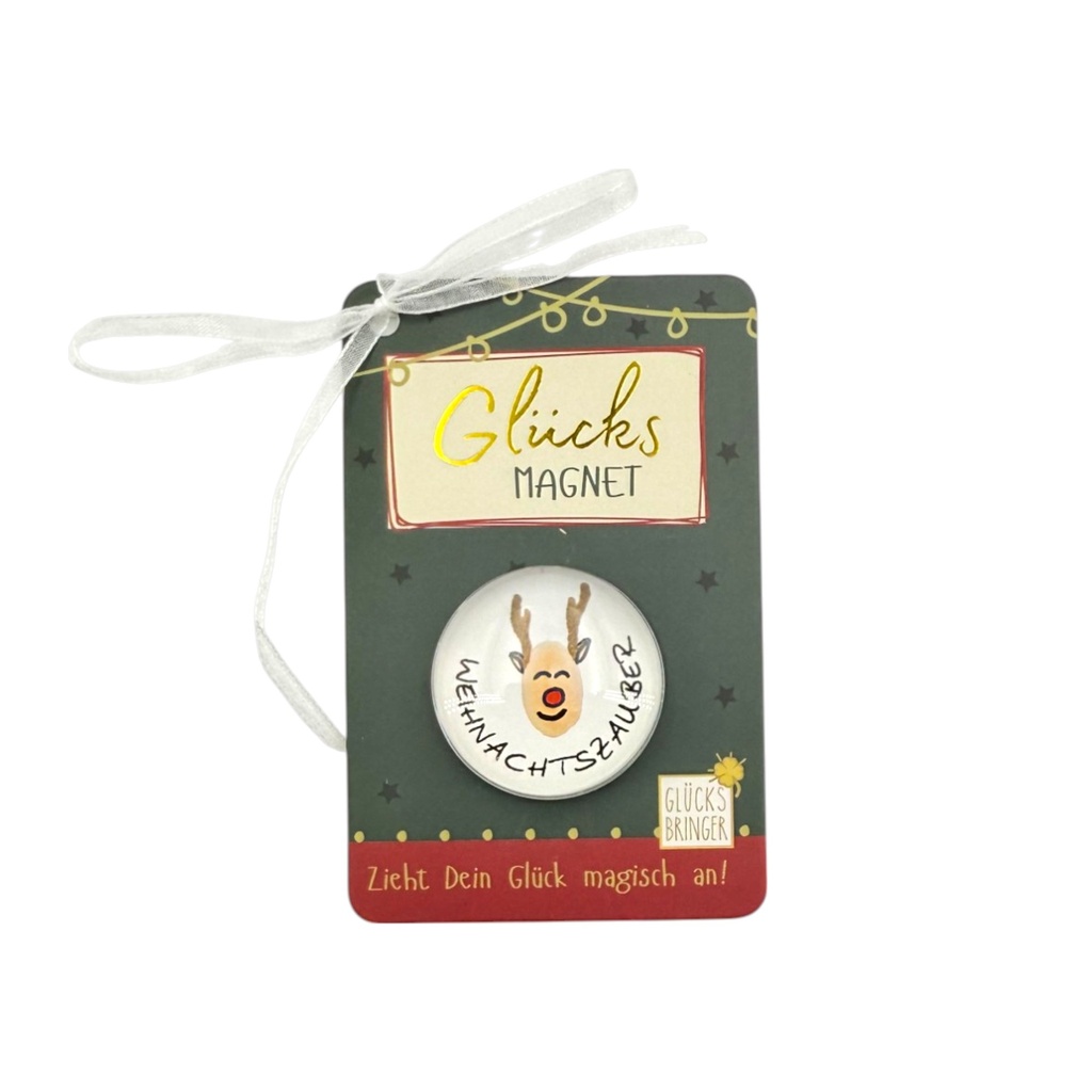 SET Magnete Weihnachten im Display, sort (16 Stk.)