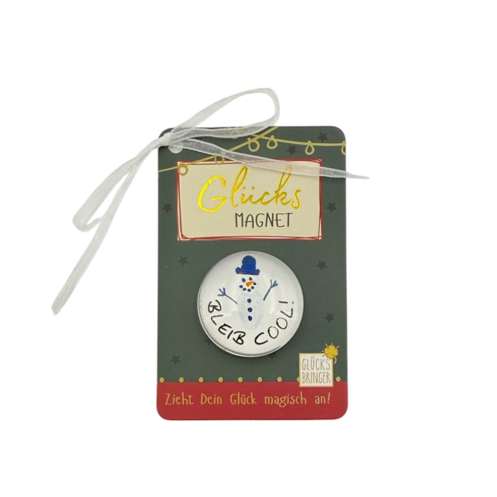 SET Magnete Weihnachten im Display, sort (16 Stk.)