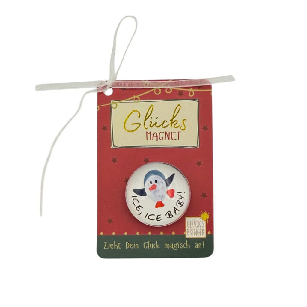 SET Magnete Weihnachten im Display, sort (16 Stk.)