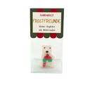SET Frost-Freunde, 4-fach in transp. Box (24 Stk) mit Displa