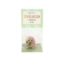 SET Stachelhelden in transparenter Box, 6-fach sort. (24 Stk