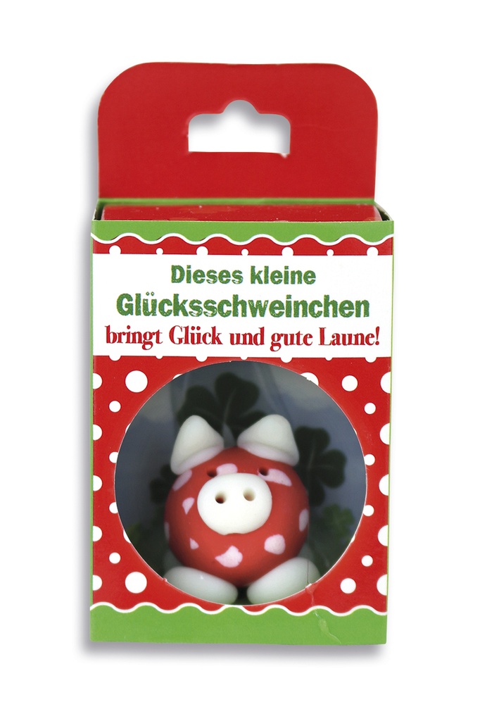 SET Glückswelt "Viel Glück" 24 Stk.