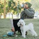 Isolierflasche für Hunde Blau