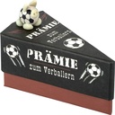 SET Männergeschenkschachteln Prämie/vonWelt (12 Stk.) 2-fach