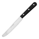 Essmesser Skill Kunststoffgriff schwarz