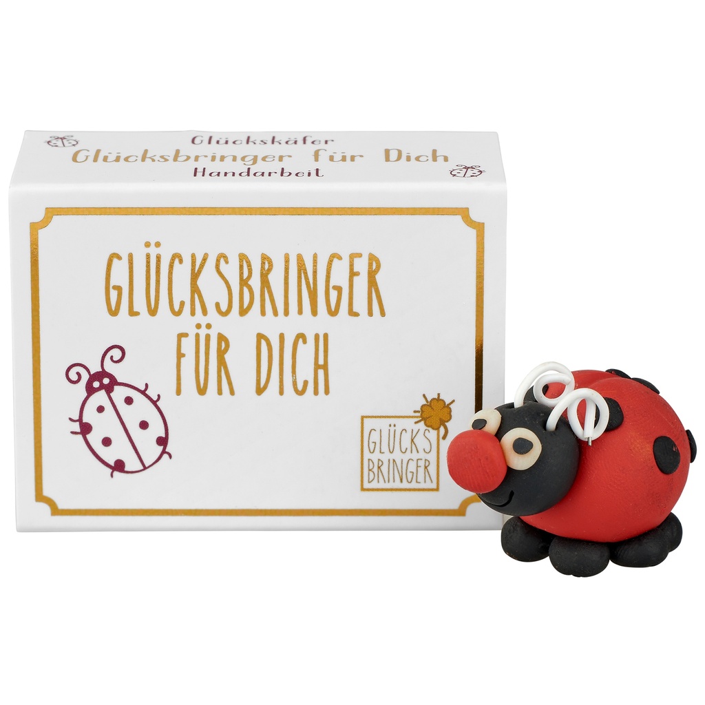 Glückswelt, Glückskäfer (10 Stück)