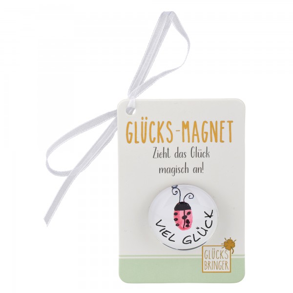 Glücksmagnet aus Glas, Käfer (6 Stück)