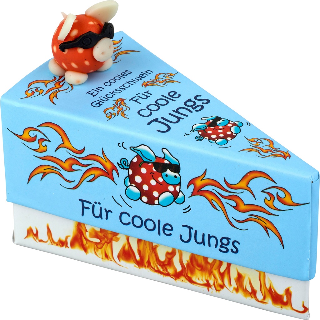 Tortenstück-Geschenkschachtel "Coole Jungs" (12 Stück)