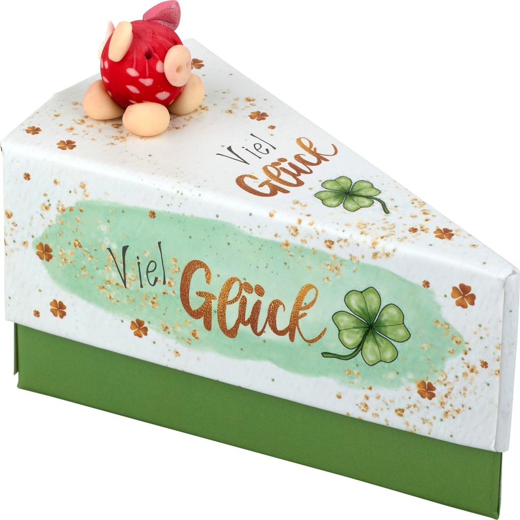 Tortenstück-Geschenkschachtel "Swiggie/Viel Glück" (12 Stück)